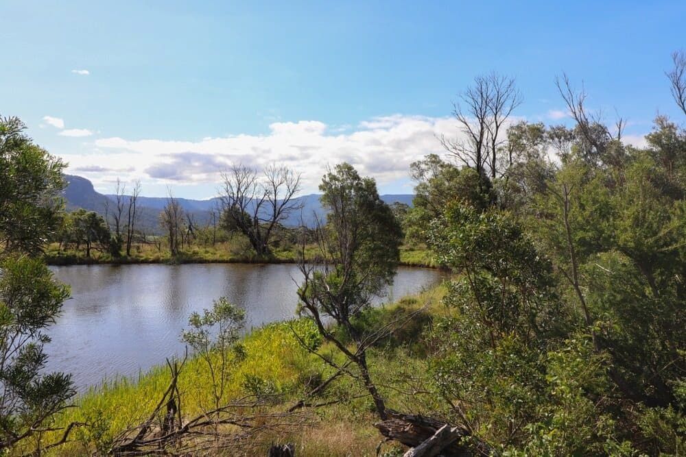 A River Surrounded By Trees And Grass With Mountains In The Background — Southern Districts Physiotherapy & Sports Injuries Clinic In Tullimbar, NSW