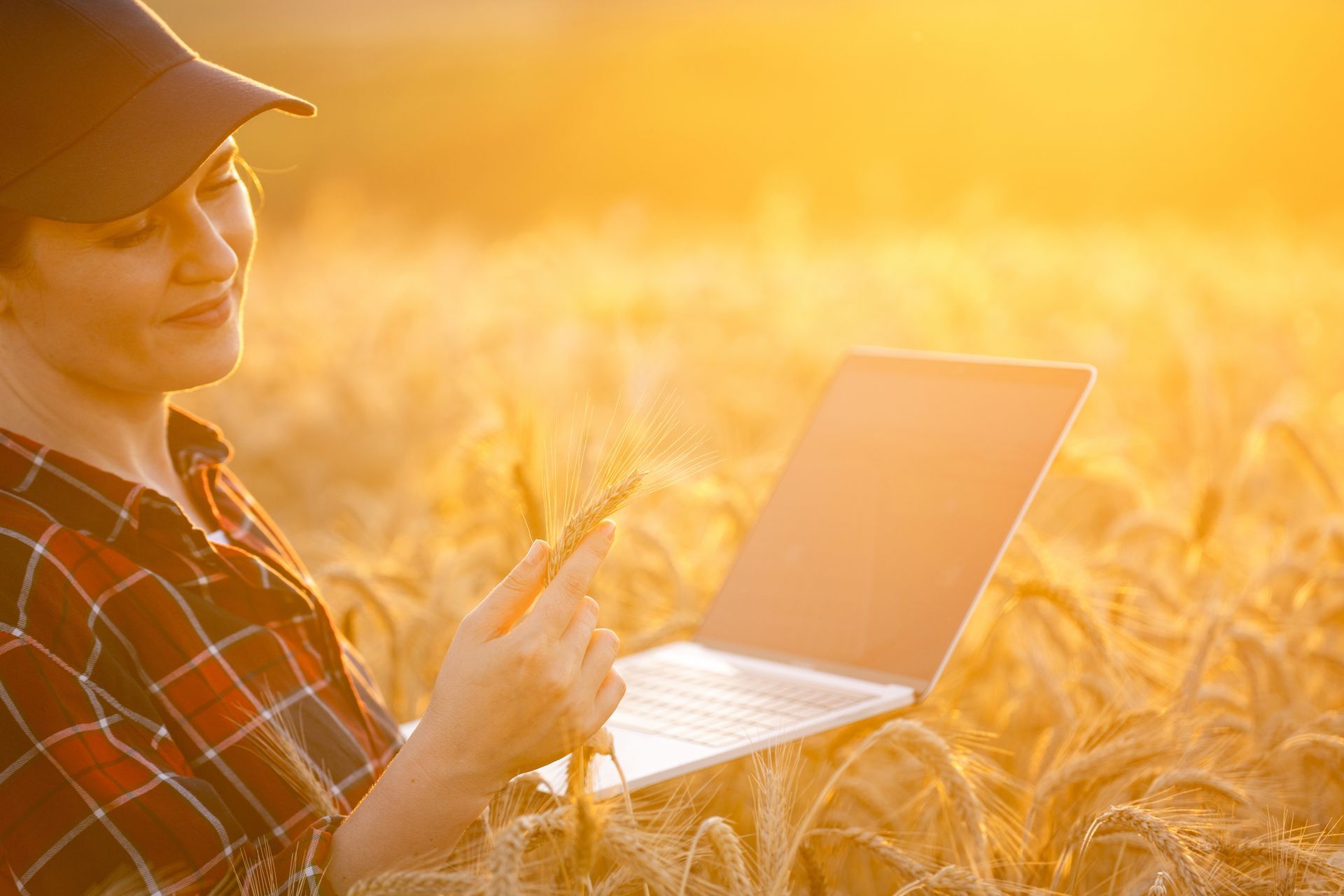 Donna con PC che verifica lo stato del grano
