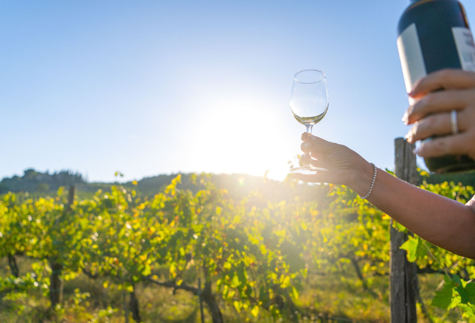 Donna con bottiglia di vino e bicchier davanti a un vigneto
