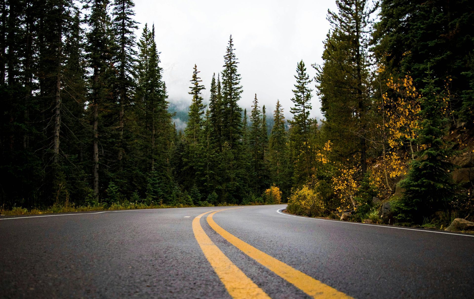 Winding asphalt road through a forest of tall evergreen trees, with a cloudy sky.
