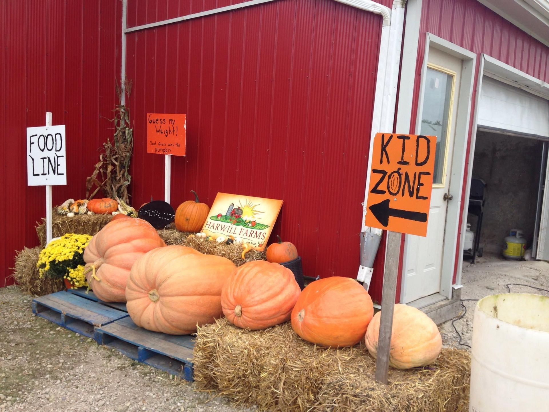 A bunch of pumpkins are sitting on bales of hay in front of a red barn.