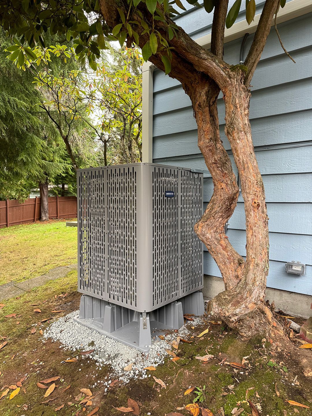 An air conditioner is sitting next to a tree on the side of a house.