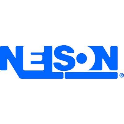 Blue NESN logo on a white background