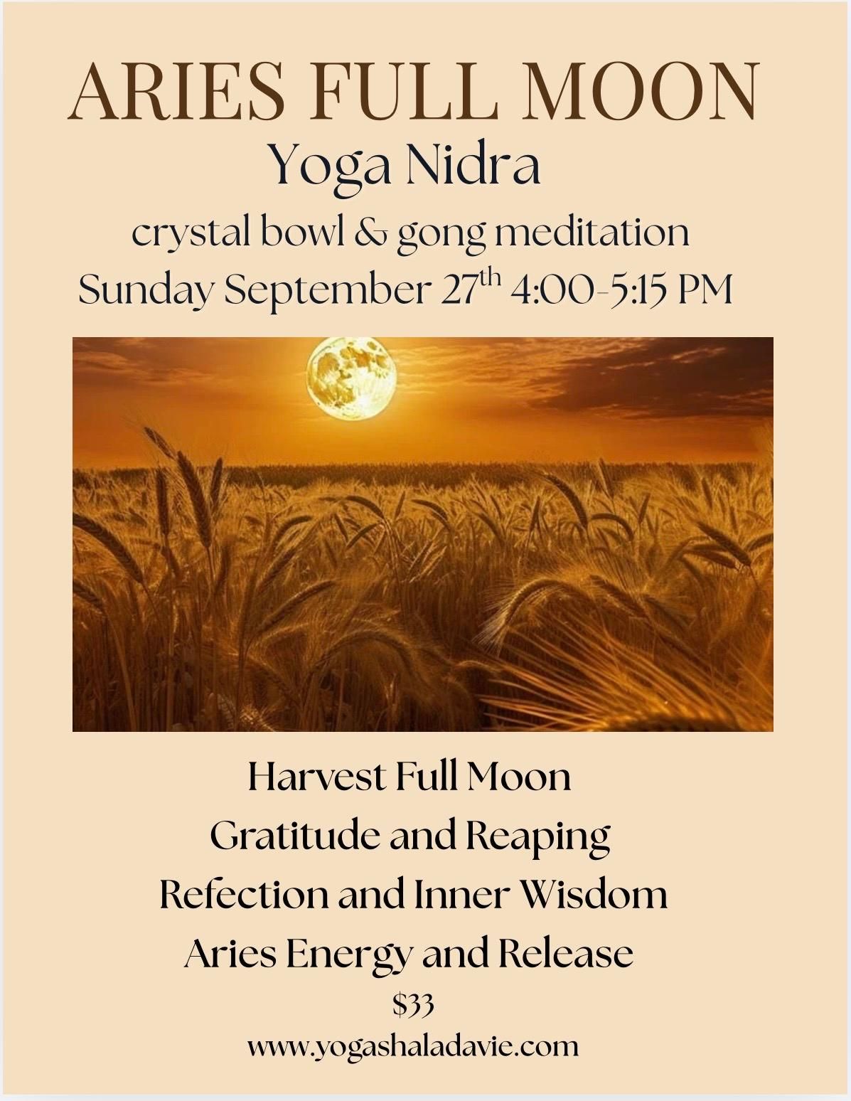 Full Moon Celestial Meditation flyer with pink background and glowing moon illustration