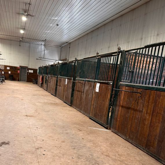 Horse Boarding
