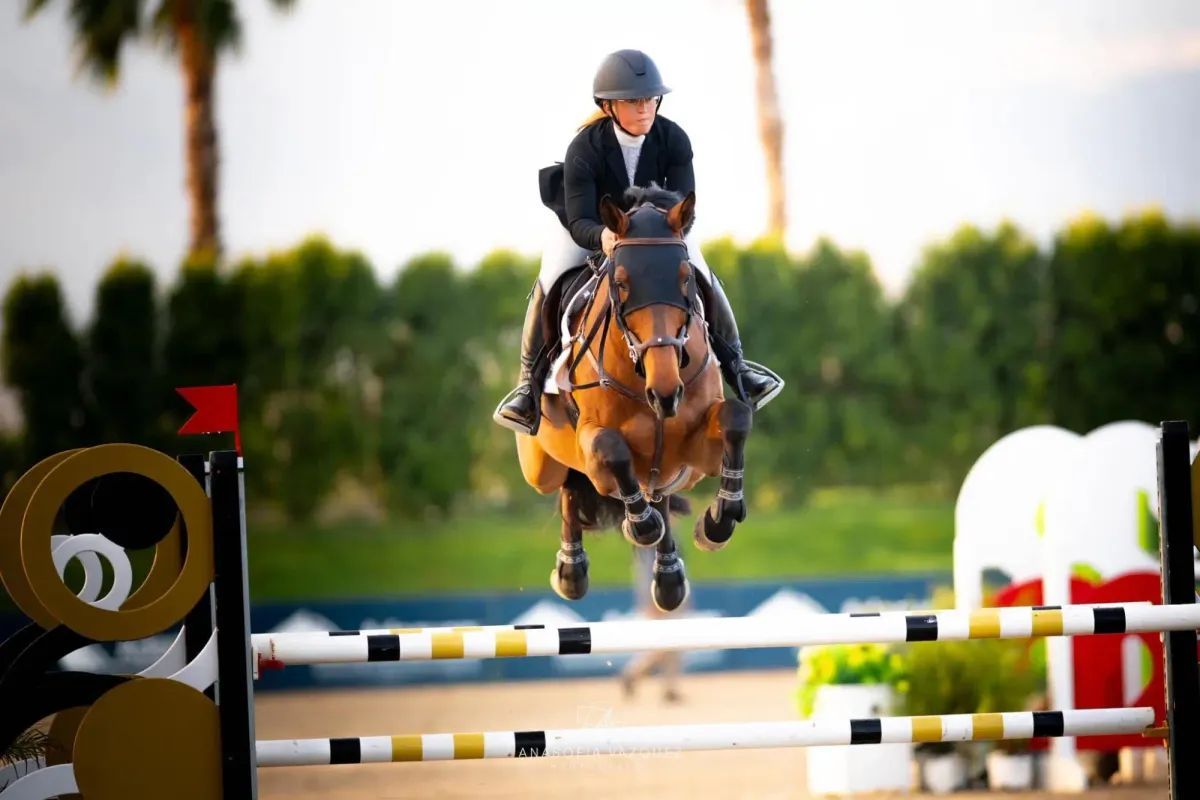 Equestrian rider on a horse jumping over a brightly colored obstacle