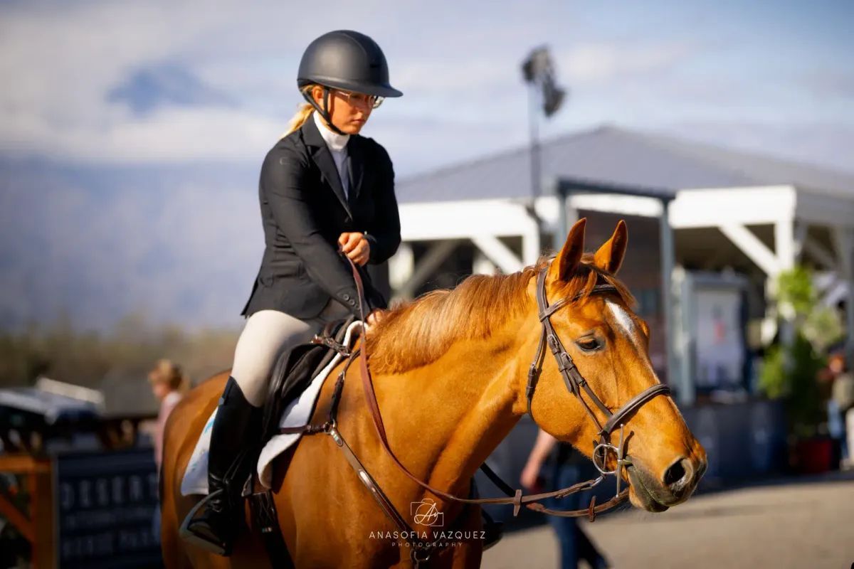 A young woman in riding attire sits on a chestnut horse at an equestrian competition