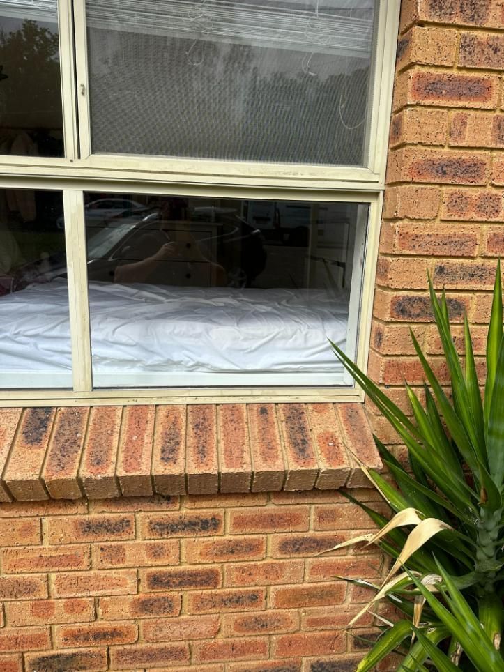 A Brick Wall With A Window And A Plant In Front Of It — Central Coast Glass & Glazing In Gosford, NSW