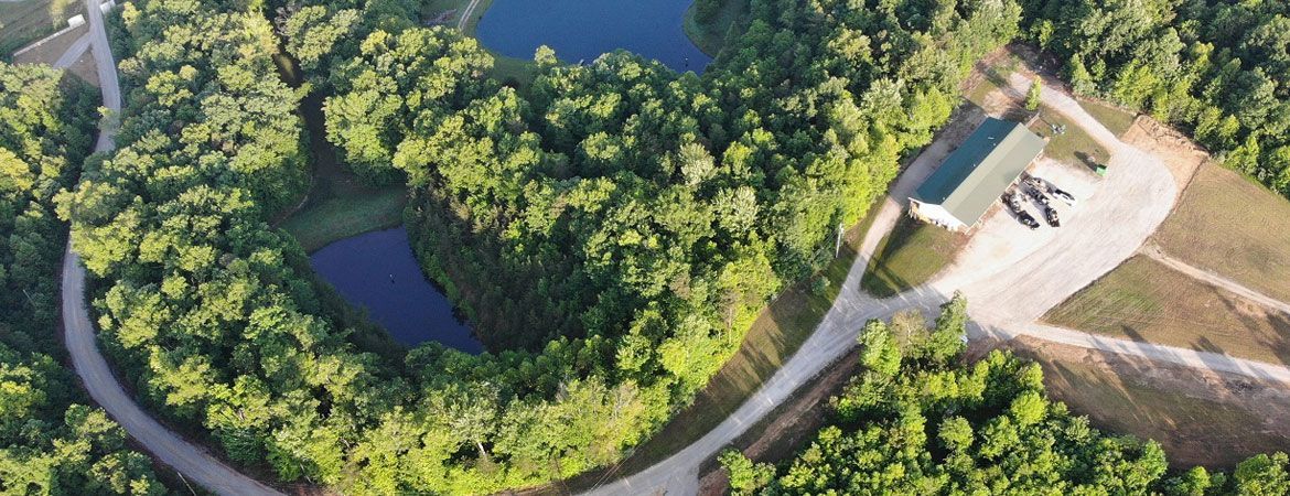 Aerial view of lush green forest with a paved road, ponds, and a building.
