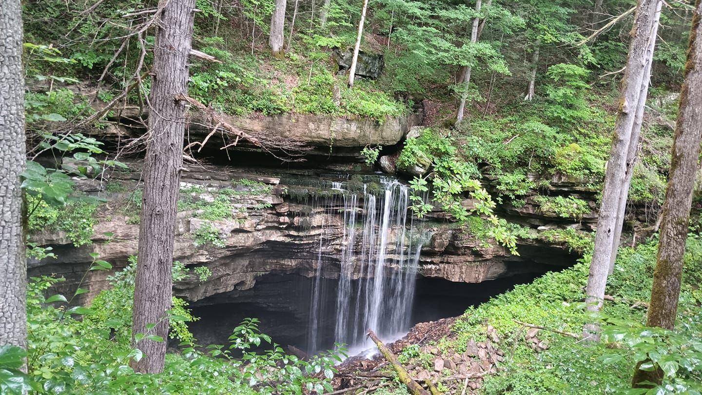 Waterfall cascading into a dark cave, surrounded by green foliage and trees.