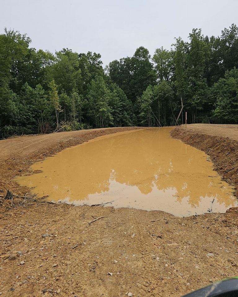 Muddy pond surrounded by dirt path and trees on a cloudy day.