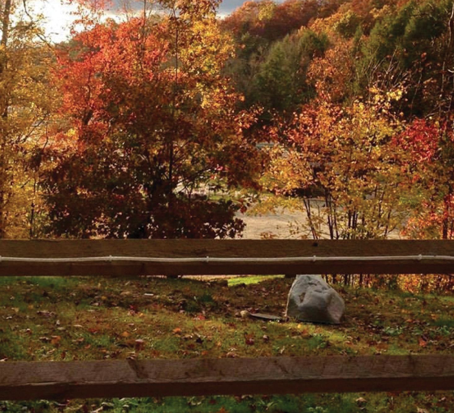 Autumn foliage frames a wooden fence, with vibrant red and yellow leaves on a hillside.
