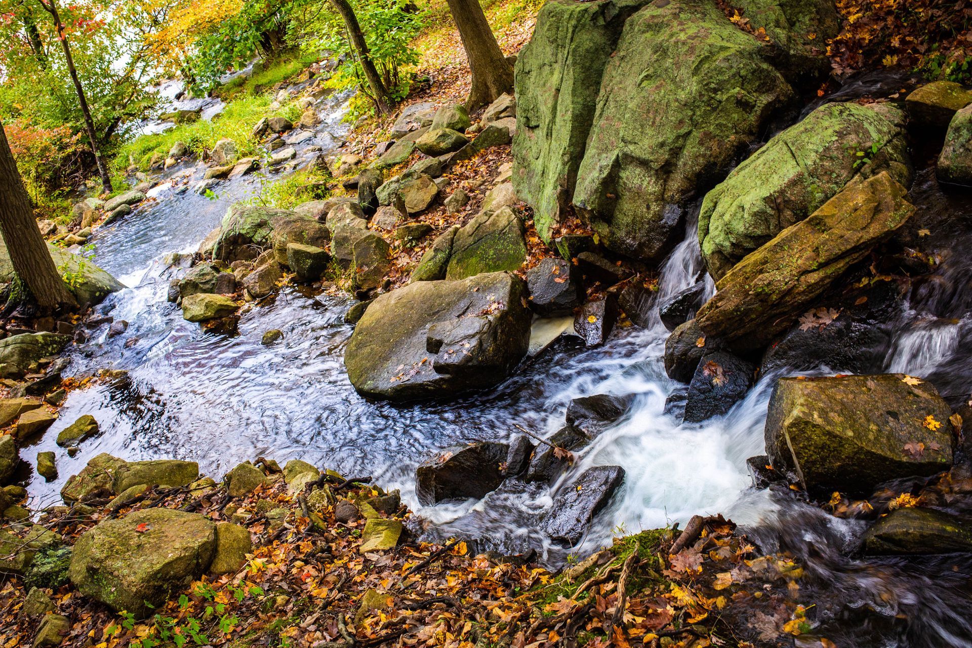Stream flowing over rocks in a wooded area with autumn leaves.