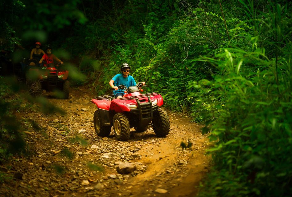 ATVs driving on a dirt trail through a lush green forest.