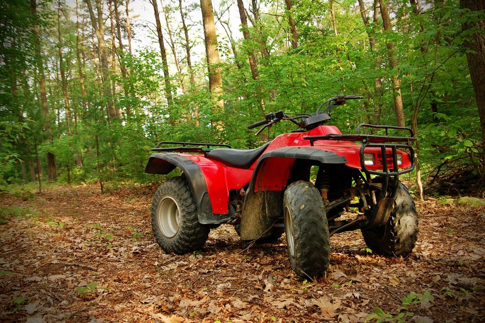 Red ATV parked in a forest, surrounded by trees and fallen leaves.