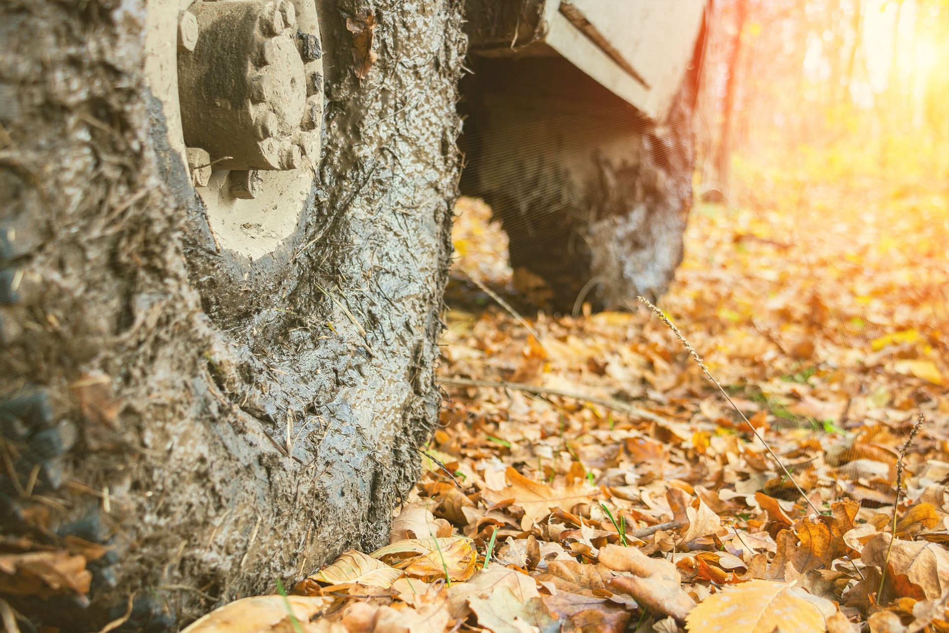 Muddy ATV tires on a bed of fallen autumn leaves, with sunlight filtering through trees.