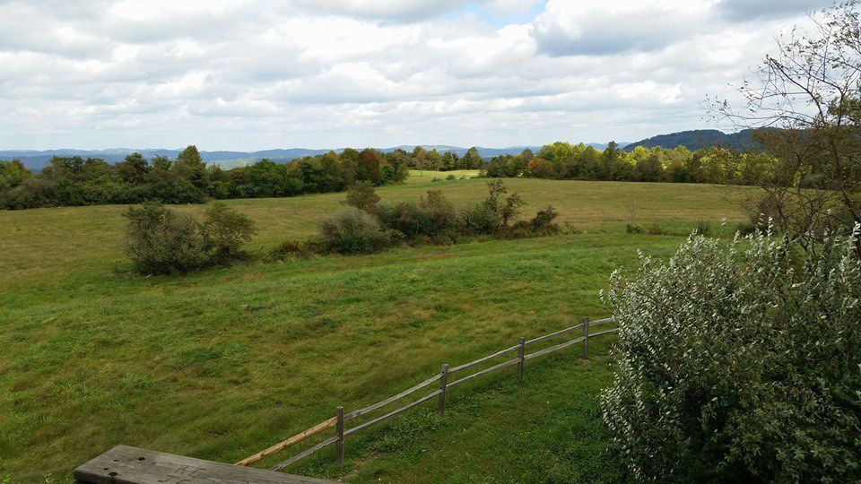 Green field with trees and a cloudy sky. A wooden fence is in the foreground.