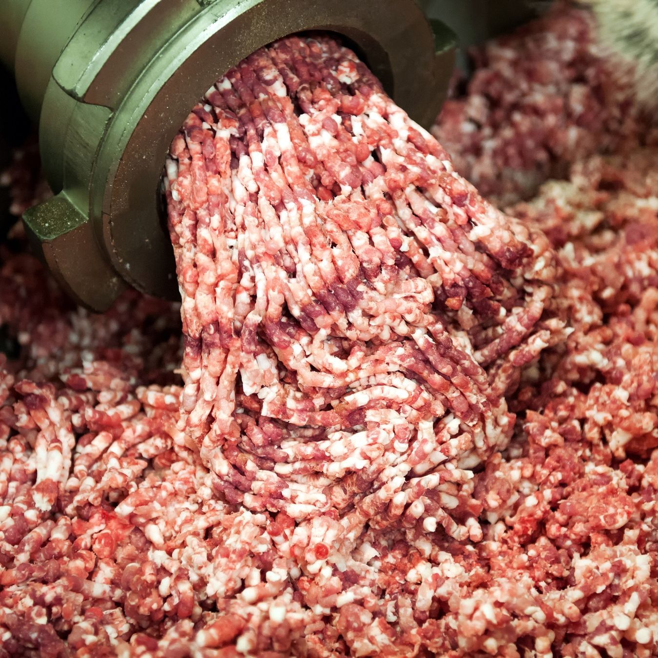 New Zealand Meat Industry Blades