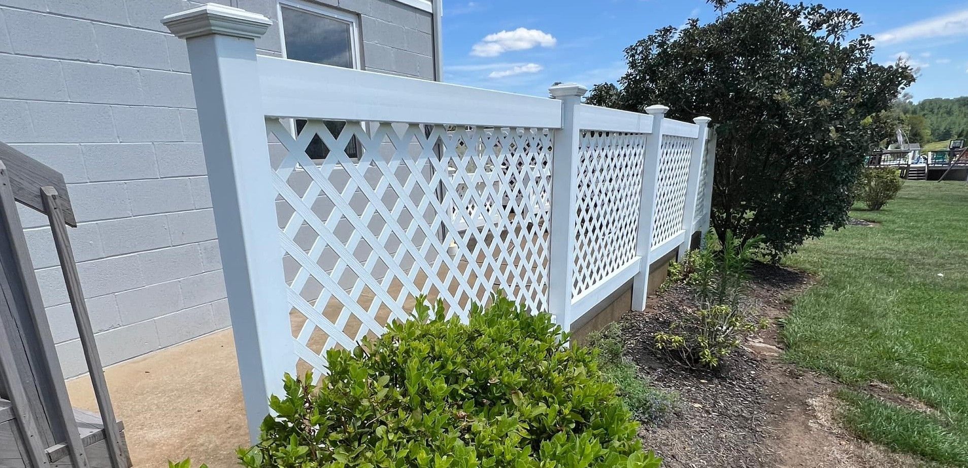 A white lattice fence is surrounded by trees and bushes in a yard.