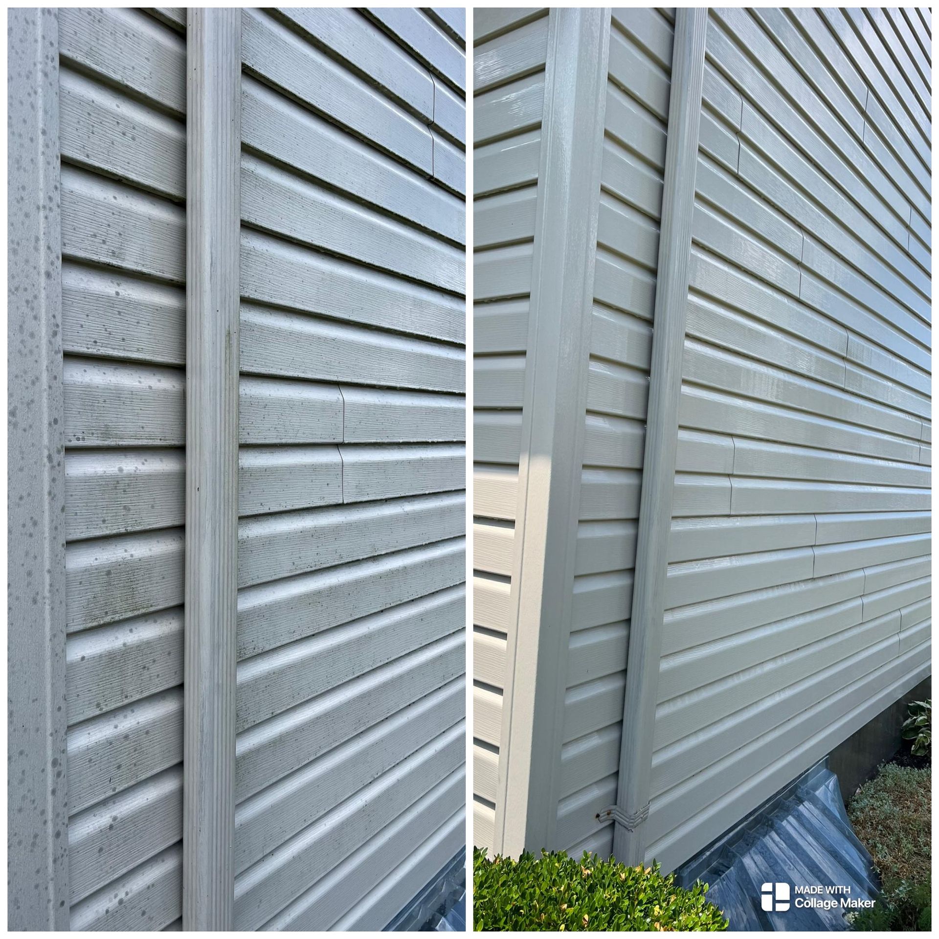 Close-up of gray vinyl siding on a house corner with a small shrub at the base.