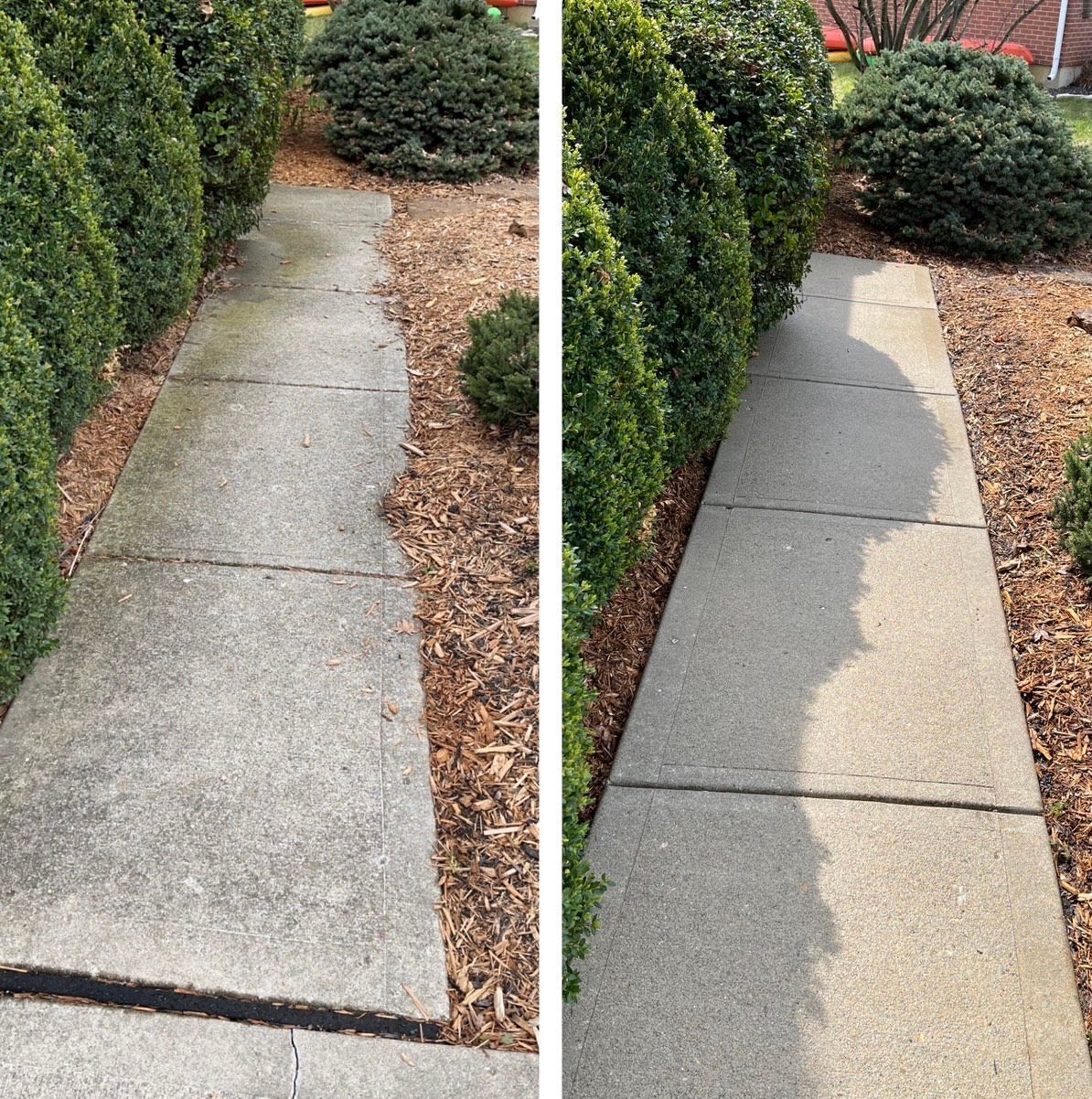 Concrete garden walkway before-and-after, showing an uneven crack repaired to a smooth path