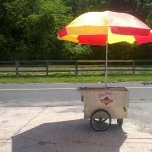 A hot dog cart with a red and yellow umbrella stands on a paved surface in front of a wooden fence and green trees.
