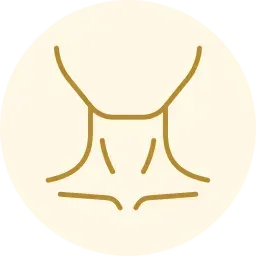 Stylized gold line drawing of a torso and waist on a pale circular background