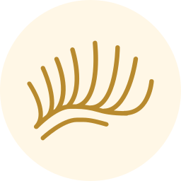 Gold eyelash icon on a pale cream circle background