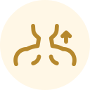 Brown lungs icon with a small upward arrow, suggesting respiratory health or breathing improvement