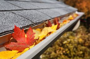 A gutter filled with leaves on a roof.
