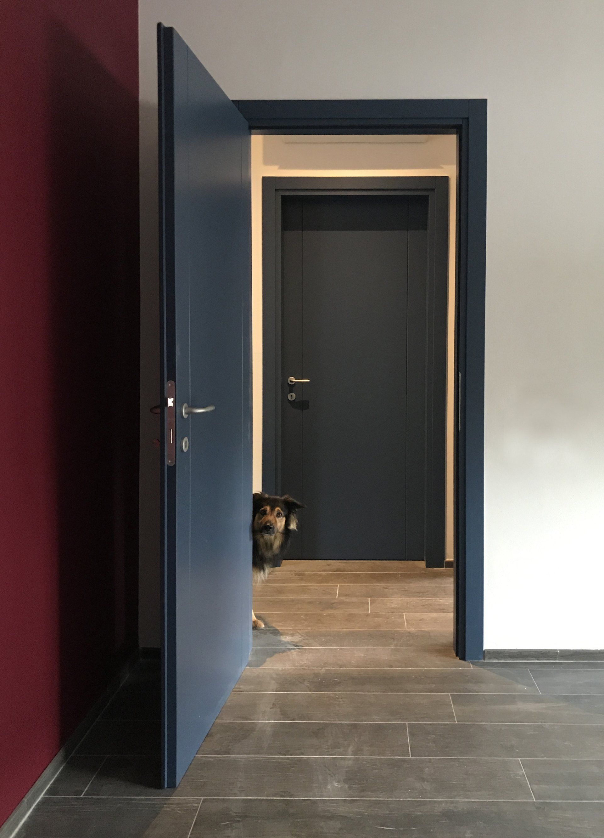 Un cagnolino sbircia da dietro una porta blu in una stanza con la porta chiusa e il pavimento piastrellato in pietra.