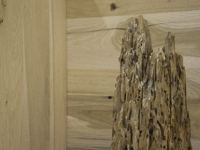 legno delle briccole