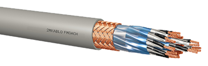 FMGACH