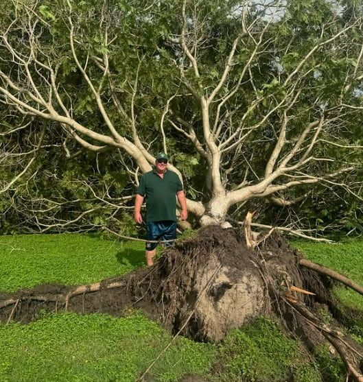 A Man is Standing Next to a Fallen Tree in a Field — Mentally Hooked in Helensvale, QLD