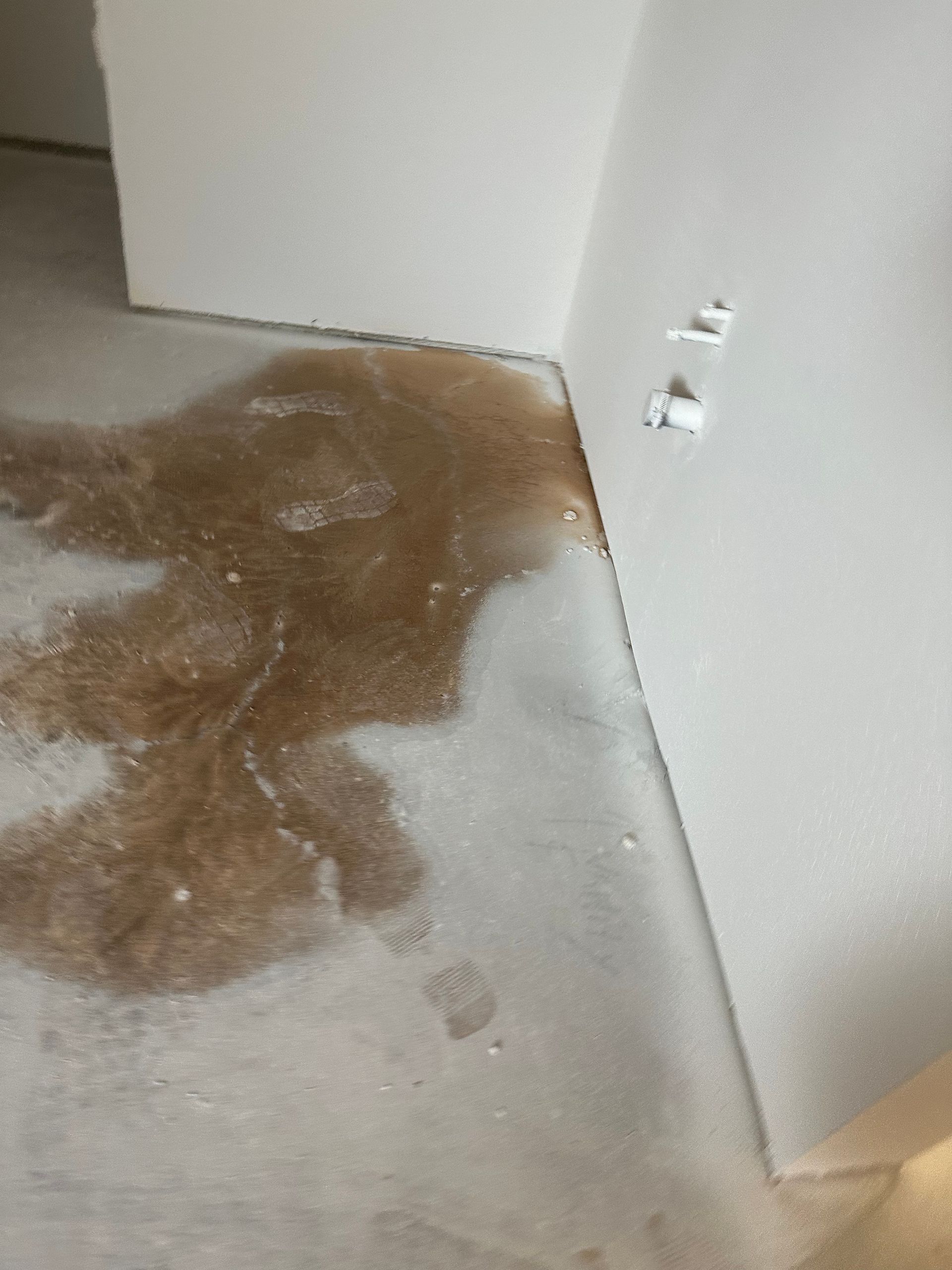 Brown water stain spreading across a carpet near a wall and electrical outlet.