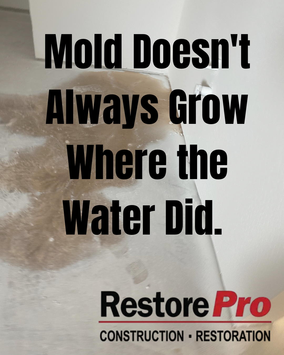 Text graphic: “Mold Doesn’t Always Grow Where the Water Did.” with RestorePro restoration logo.