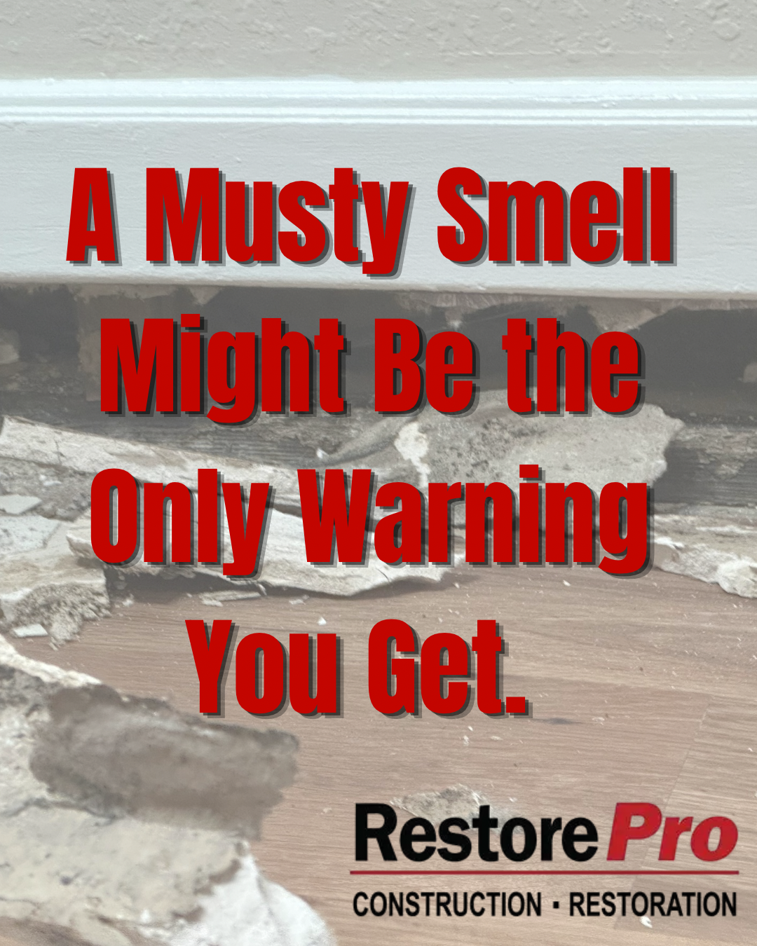 Mold warning ad over a water-damaged floor: “A Musty Smell Might Be the Only Warning You Get.”