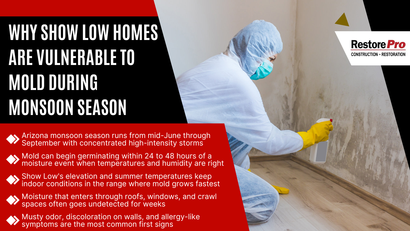 Worker in protective gear sprays mold treatment on a damp wall, with text about low homes and monsoon mold risk. Worker in protective gear sprays mold treatment on a damp wall, with text about low homes and monsoon mold risk.