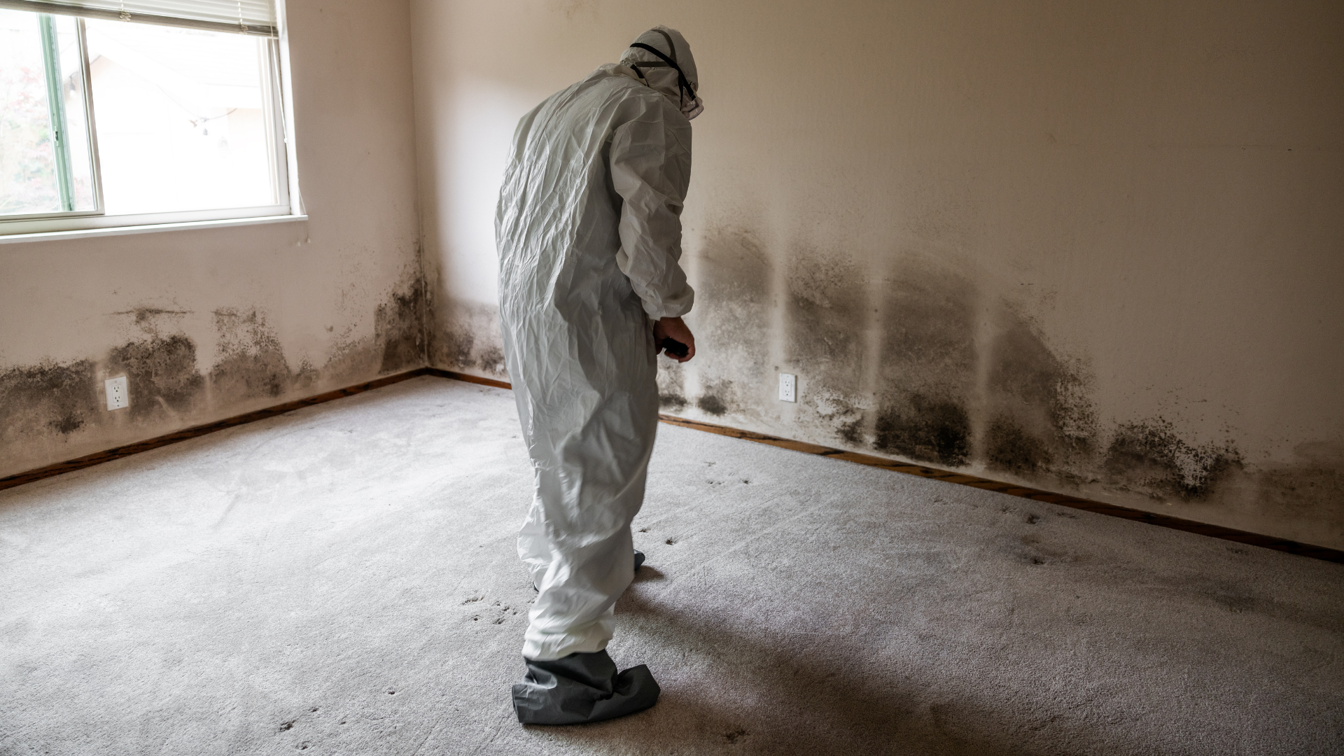 Person in white protective suit inspecting a moldy, empty room with stained walls and bare floor.