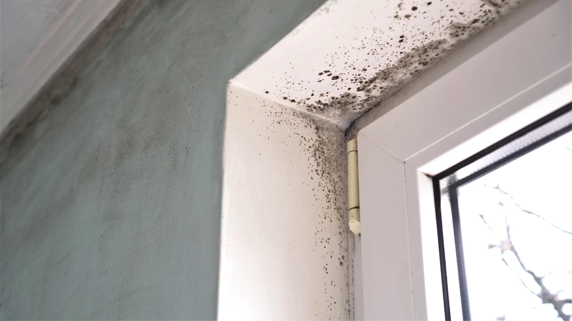 Mold spots on a white window frame and surrounding wall corner indoors