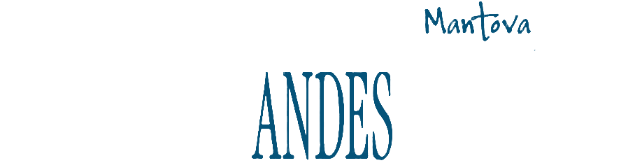 Negrini Andes Tours-LOGO Negrini Andes Tours-LOGO
