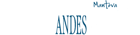 Negrini Andes Tours-LOGO Negrini Andes Tours-LOGO