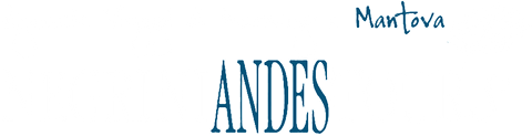 Negrini Andes Tours-LOGO