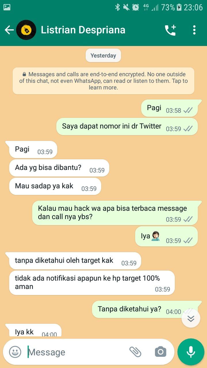 Gambar 2, Penipu mengklaim bisa membaca message dan call tanpa diketahui oleh target.