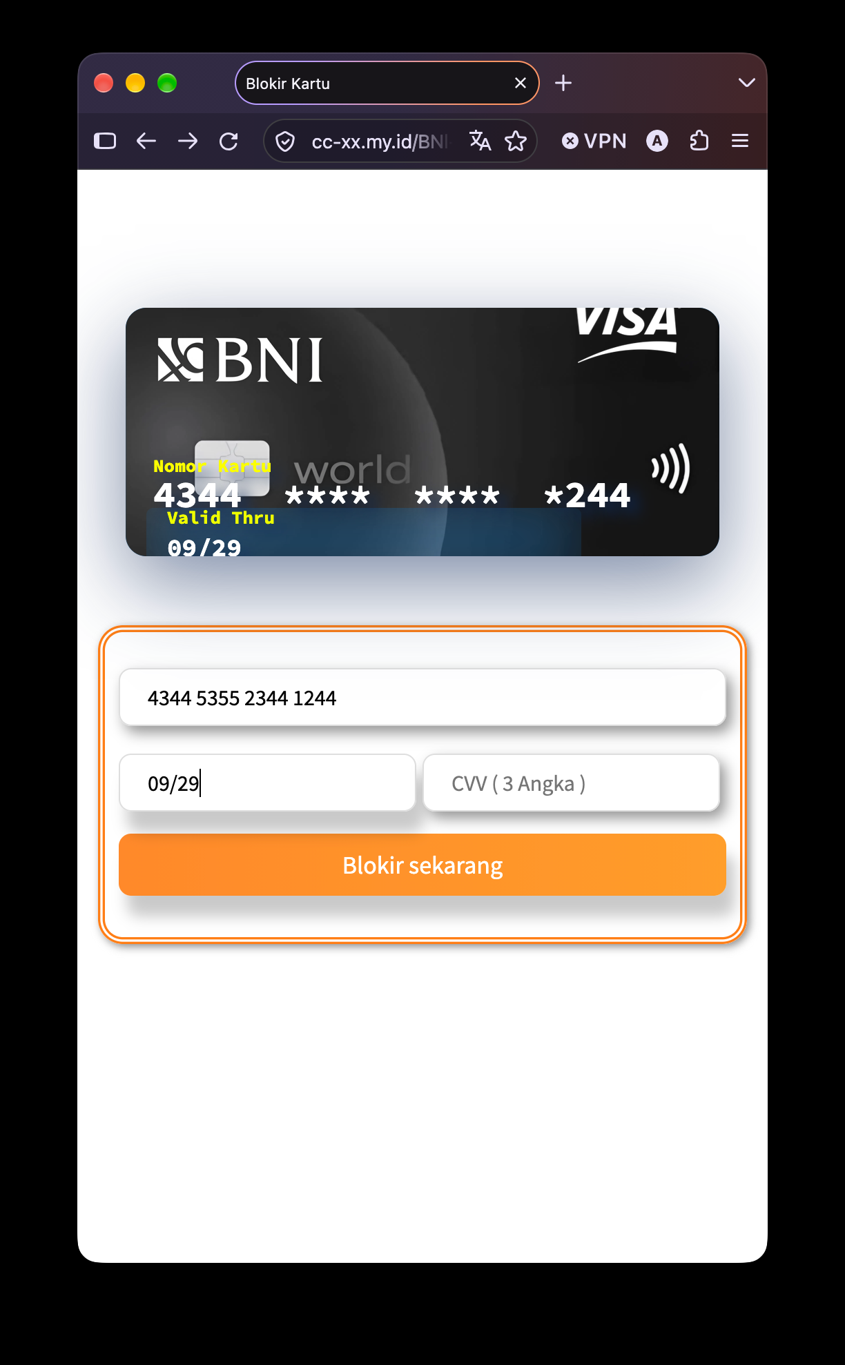 Langkah 1: form nomor kartu dan masa berlaku di situs BNI palsu (data uji tidak valid)