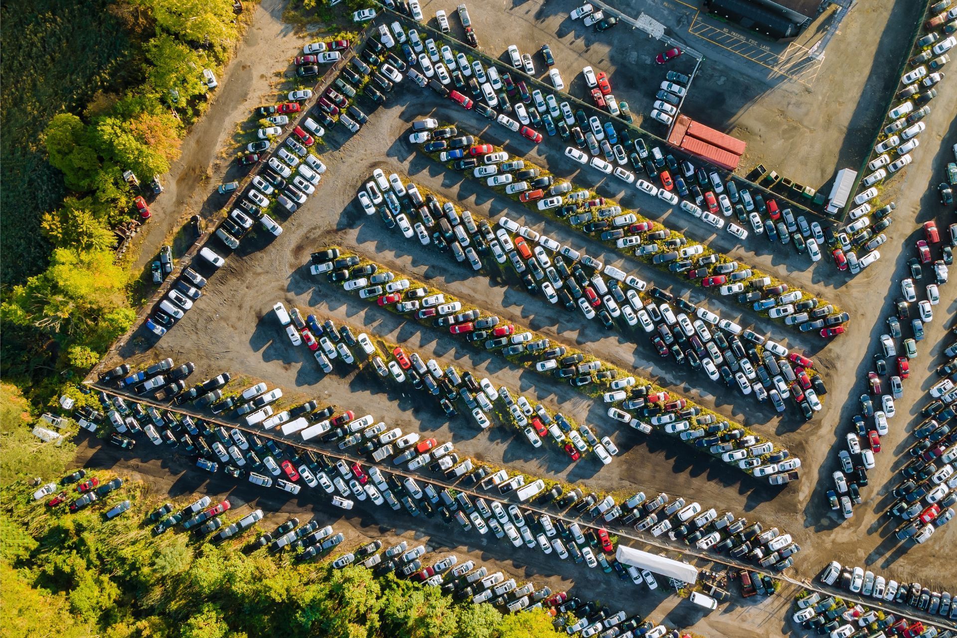 Aerial view of rows of parked motorcycles in a lot beside trees and dirt paths