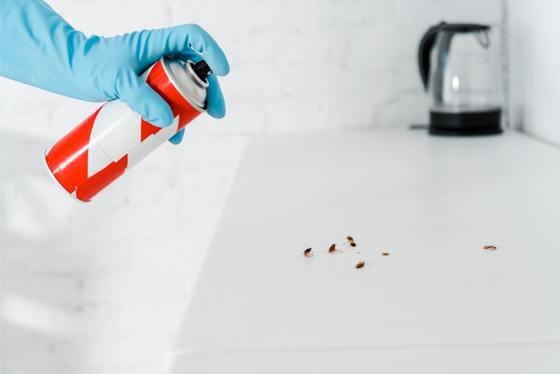 Gloved hand spraying red cleaner toward small bugs on a white kitchen counter near a kettle