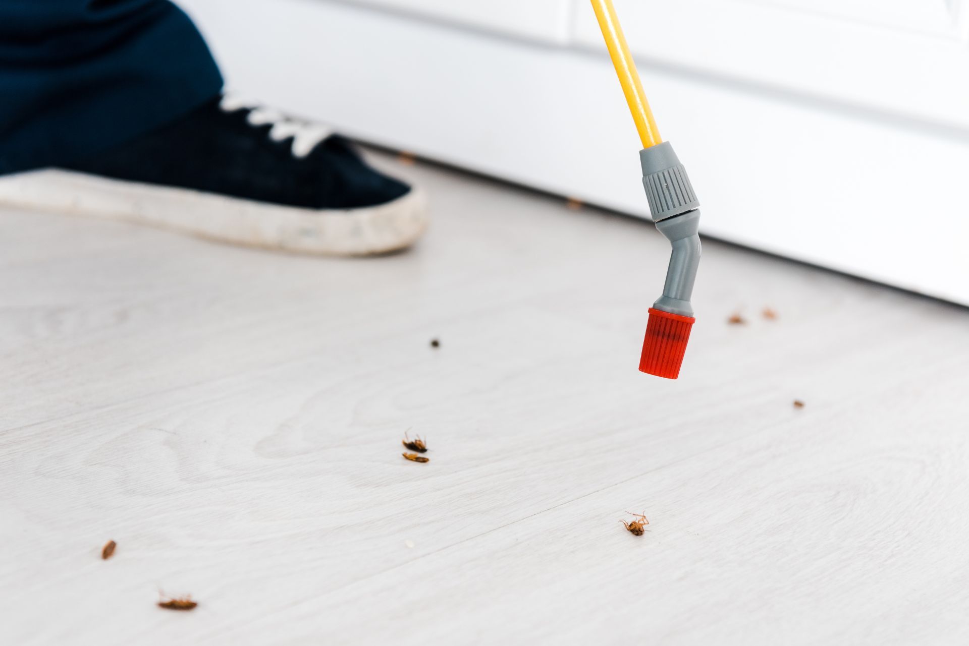 Yellow cleaning brush picking up crumbs on a white floor beside a black sneaker