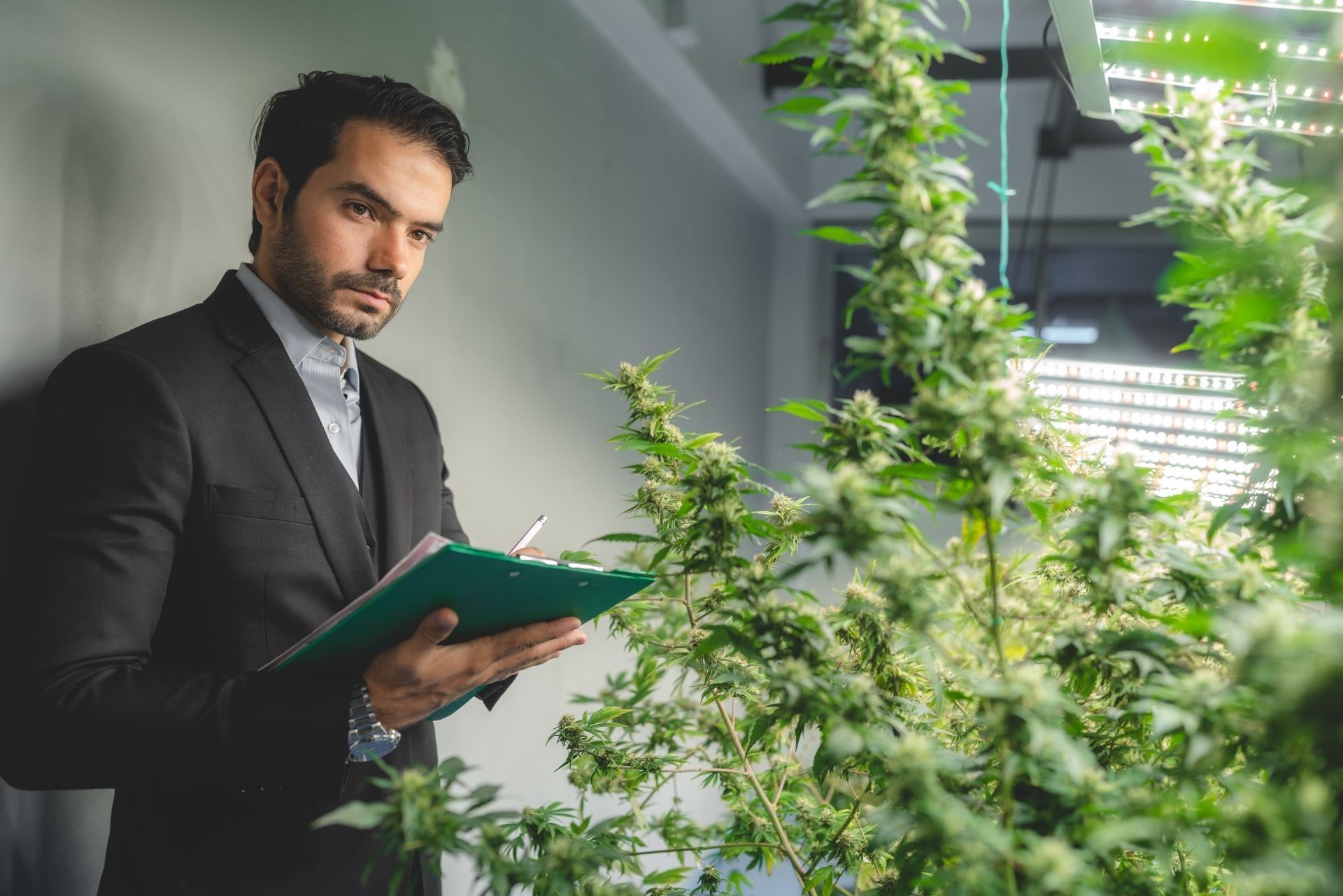 Man in a suit holding a green folder in a bright office with plants in the foreground