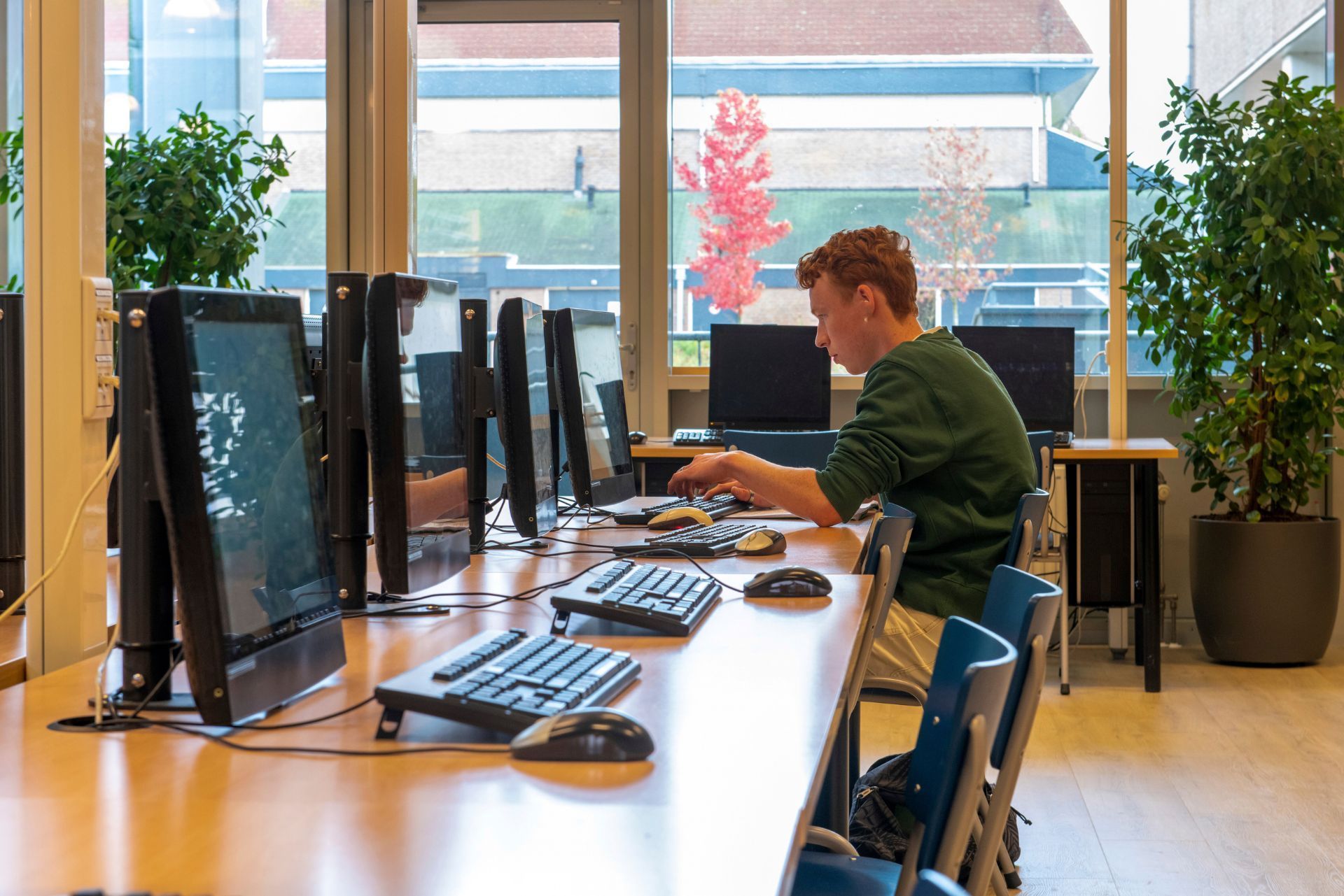Person working at a row of desktop computers in a bright computer lab